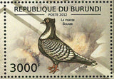 Pigeons Stamp Le Dragon Pigeon Hirondelle Le Cravate Africain Le Souabe S/S MNH