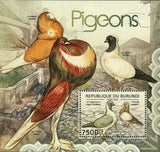 Pigeons Stamp Le Triganica ou pigeon Modene Cravate Anglais Bird S/S MNH #2644