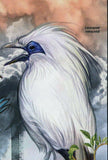 Birds & Air Pollution Stamp Cacatua Sulphurea Citrinocristata S/S MNH #2569