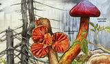 Mushrooms & Acid Rain Stamp Entoloma Hochstetteri S/S MNH #2534 / Bl.230