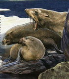 Sharks & Pinnipeds Stamp Carcharodon Carcharias Otariidae S/S MNH #2554 /Bl.234