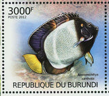 Fish Stamp Cheilochromis Euchilus Pomacanthus Imperator Apolemichthys S/S MNH