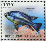 Fish Stamp Cheilochromis Euchilus Pomacanthus Imperator Apolemichthys S/S MNH