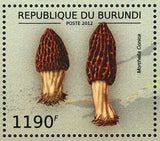 Mushrooms Stamp Amanita Rubescens Boletus Edulis Cantharellus S/S MNH #2738-2741