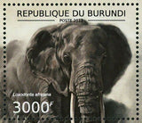 Elephants Stamp Loxodonta Africana Wild Animal S/S MNH #2833-2836