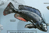 Fish of Great Lakes Stamp Lithochromis Rufus Haplochromis S/S MNH #2782 / Bl.280