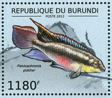 Fish of Great Lakes Stamp Pelvicachromis Pulcher Paralabidochromis S/S MNH #2778