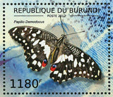 Butterflies of Africa Papilio Demodocus Euphaedra Janetta Cymothoe S/S #2762-276