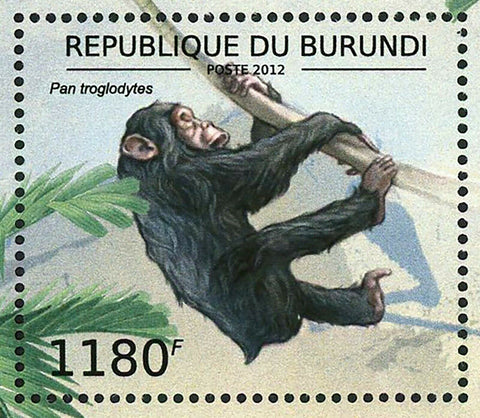 Chimpanzees Stamp Pan Troglodytes Wild Animals S/S MNH #2853-2856