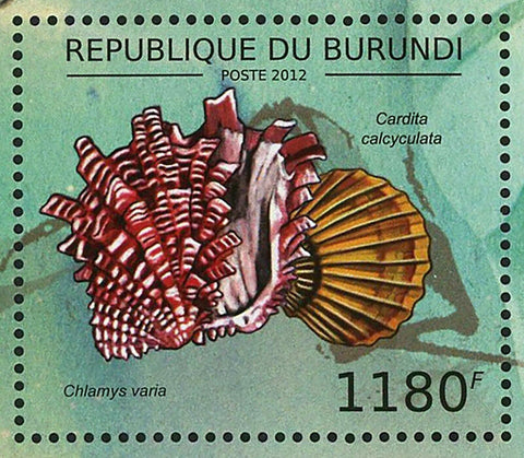 Shells Stamp Chlamys Varia Cardita Calcyculata Epitonium Commune S/S MNH #2753