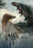 Birds of Prey Stamp Haliaeetus Vocifer Eagle S/S MNH #2807 / Bl.285