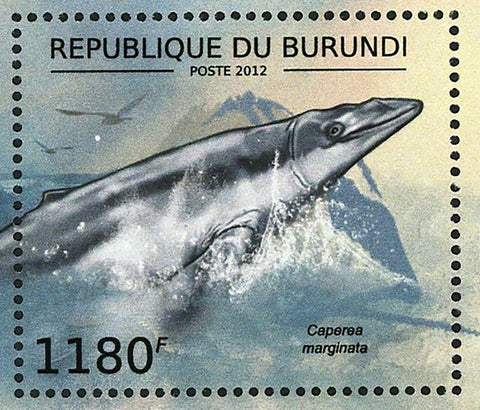 Whales Stamp Caperea Marginata Balaenoptera Musculus S/S MNH #2838-2841