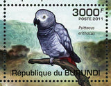 Parrots Stamp Agaprnis Pullarius Psittacus Erithacus S/S MNH #1978-1981 / Bl.151