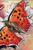 Butterflies Stamp Nymphalis Antiopa Precis Orithya S/S MNH #5428 / Bl.932
