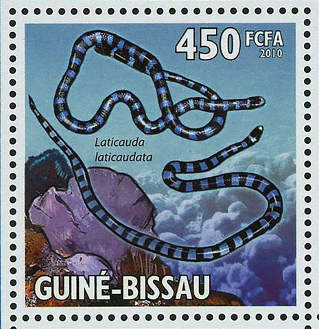 Sea Snakes Laticauda Laticaudata Lapemis Curtus Pelamis Platurus S/S MNH #4569