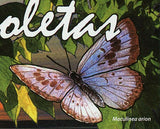 Butterflies Stamp Alcides Aurora Parnassius Autocrator S/S MNH #5342 / Bl.916