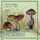Mushrooms Stamp Amanita Pachycolea Boletus Edulis Leccinum Versipelle S/S MNH