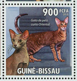 Cats Stamp Bobtail Japanese Maine Coon Cornish Rex S/S MNH #4773-4777