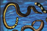 Sea Snakes Laticauda Laticaudata Lapemis Curtus Pelamis Platurus S/S MNH #4574