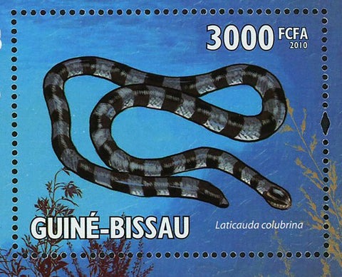 Sea Snakes Laticauda Laticaudata Lapemis Curtus Pelamis Platurus S/S MNH #4574