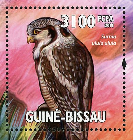 Owls Stamp Surnia Ulula Asio Flammeus Asio Otus S/S MNH #5297 / Bl.907