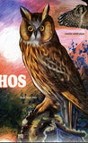 Owls Stamp Surnia Ulula Asio Flammeus Asio Otus S/S MNH #5297 / Bl.907