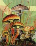Mushrooms Stamp Pholiota Squarrosa Boletus Edulis S/S MNH #4628 / Bl.752