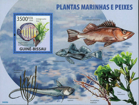 Marine Plants Fish Stamp Enteromorpha Linza Prionotus Evolans S/S MNH #4296