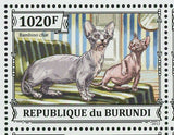 Cats Stamp Sphynx Bambino Abyssin Persian S/S MNH #3248-3251