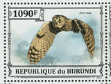 Owls Stamp Bird Asio Otus Pseudoscops Clamator S/S MNH #3323-3326