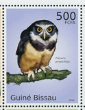 Owls Stamp Bird Asio Clamator Tyto Glaucops S/S MNH #5049-5054