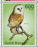 Owls Stamp Bird Asio Clamator Tyto Glaucops S/S MNH #5049-5054