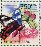 Butterflies Stamp Insects Inachis Io Cithaerias Phantoma Greta Oto S/S MNH #5424