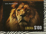 Lions Stamp Wild Cats of Africa Liberia Panthera Leo Souvenir Sheet MNH