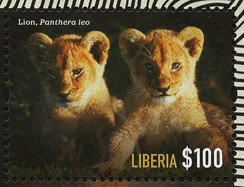 Lions Stamp Wild Cats of Africa Liberia Panthera Leo Souvenir Sheet MNH