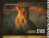 Lions Stamp Wild Cats of Africa Liberia Panthera Leo Souvenir Sheet MNH