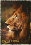 Lions Stamp Wild Cats of Africa Liberia Panthera Leo Souvenir Sheet MNH