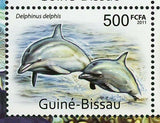 Dolphins Stamp Tursiops Truncatus Lipotes Vexillifer Souvenir MNH #5578-5581