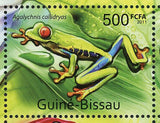 Frogs Stamp Agalychnis Callidryas Oophaga Pumilio Souvenir Sheet MNH #5554-5557
