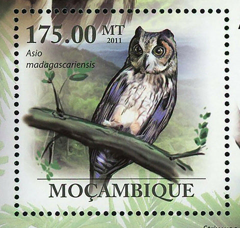 Owls Stamp Birds Asio Madagascariensis Ninox Connivens S/S MNH #4383 / Bl.419