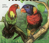 Parrots Stamp Birds Trichoglossus Haematodus Souvenir Sheet MNH