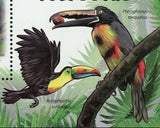 Toucan Stamp Birds Ramphastos Sulfuratus Souvenir Sheet MNH #4381 / Bl.417