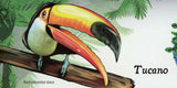 Toucan Stamp Birds Ramphastos Sulfuratus Souvenir Sheet MNH #4381 / Bl.417