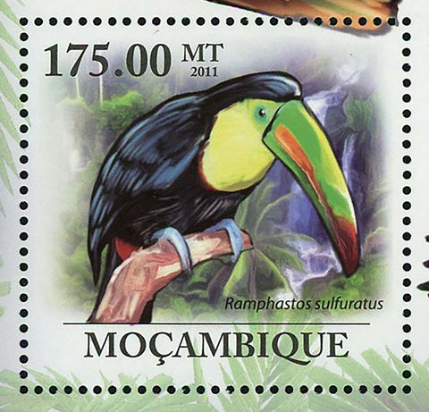 Toucan Stamp Birds Ramphastos Sulfuratus Souvenir Sheet MNH #4381 / Bl.417