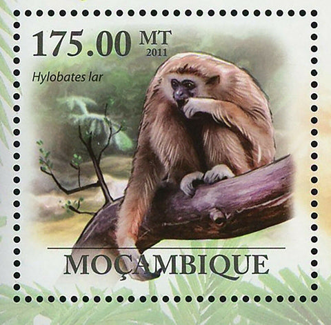 Monkeys Stamp Hylobatids Lar Lar Gibbon Souvenir Sheet MNH #4463 / Bl.427