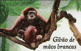 Monkeys Stamp Hylobatids Lar Lar Gibbon Souvenir Sheet MNH #4463 / Bl.427