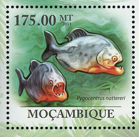 Piranhas Stamp Fish Pygocentrus Nattereri Marine Fauna S/S MNH #4293 / Bl.407