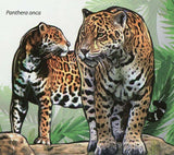 Jaguars Stamp Panthera Onca Wild Animal Souvenir Sheet MNH #4461 / Bl.425