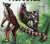 Lemurs Stamp Lemur Catta Wild Animal Souvenir Sheet MNH #4462 / Bl.426