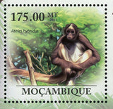 Spider Monkey Stamp Ateles Hybridus Ateles Belzebuth S/S MNH #4467 / Bl.431